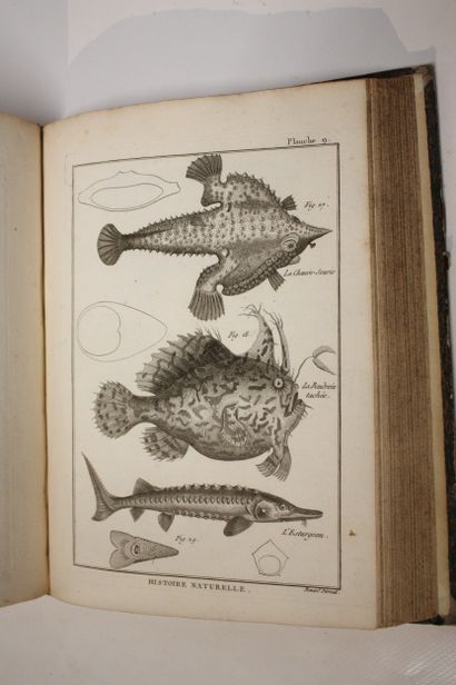[ENCYCLOPEDIE - PECHE]. Recueil de planches...