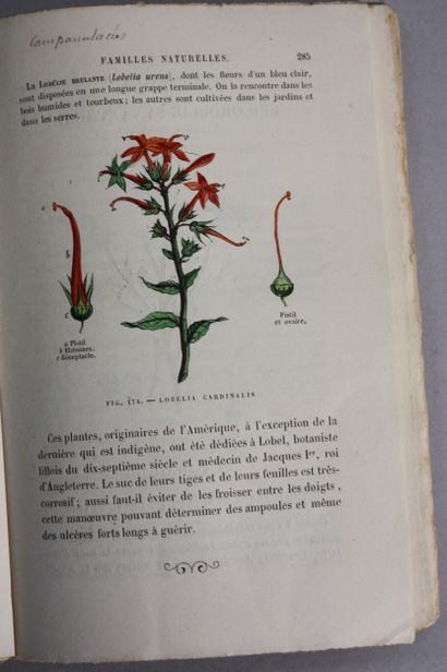 AUDOUIT (Edmond). L'herbier des demoiselles...