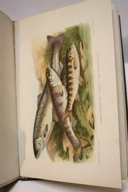 DAY (Francis). British and irish salmonidae....