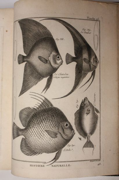 [ENCYCLOPEDIE - PECHE]. Recueil de planches...