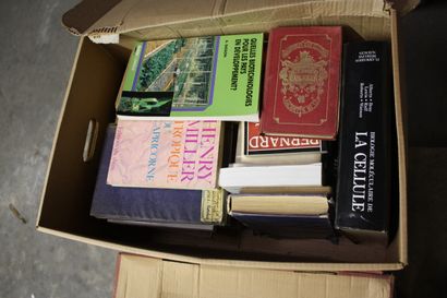 VARIA. 6 cartons de livres divers modernes,...