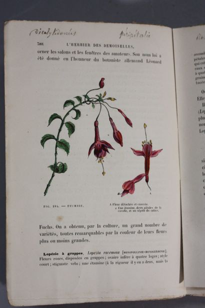 AUDOUIT (Edmond). L'herbier des demoiselles...