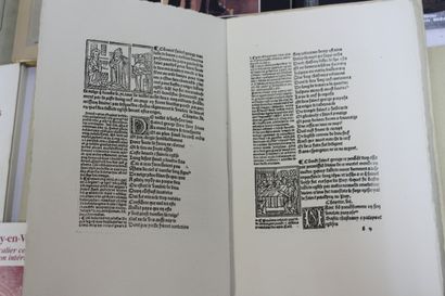 VELAY LE PUY VIERGES NOIRES. 18 volumes ou...