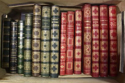 Environ 32 volumes reliés du XIXe siècle...