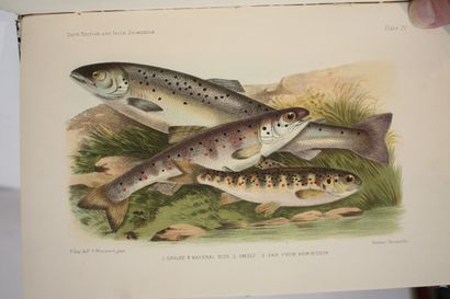 DAY (Francis). British and irish salmonidae....