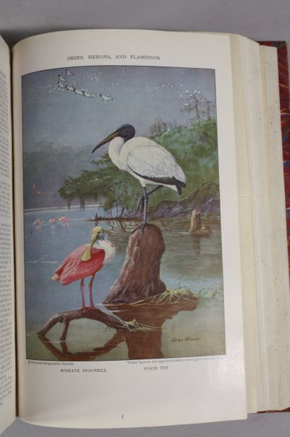 The National Geographic Magazine. 1929 1935....