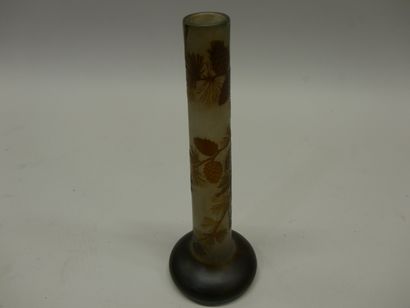 Etablissement Gallé 
Acid-etched glass onion...