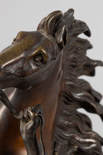 After Guillaume Coustou, Cheval de Marly,...