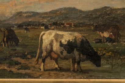 School from the 2nd half of the 19th century,
Herd...
