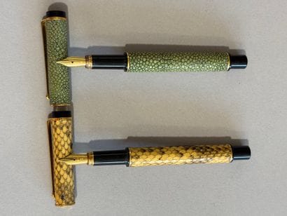 REDEN'S 
Two fountain pens with 750°/°° gold...