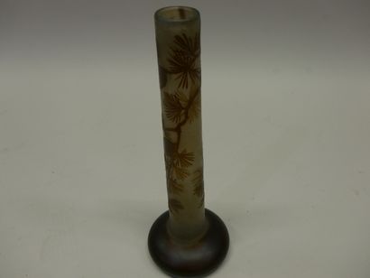 Etablissement Gallé 
Acid-etched glass onion...