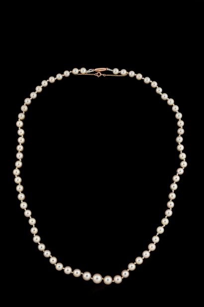 Necklace with 67 shocker white cultured pearls,...