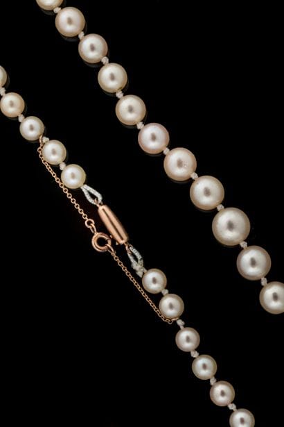 Necklace with 67 shocker white cultured pearls,...