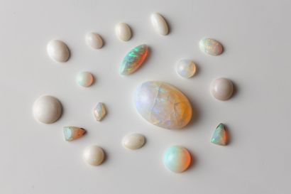 Lot of cabochon-cut opals on paper weighing...