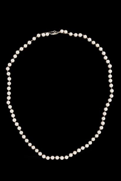 Shocker necklace with 74 white shocker cultured...