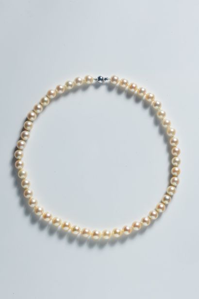 Collier shocker de 47 importantes perles...