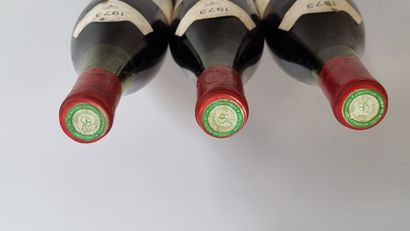 3 B POMMARD RUGIENS (1° Cru) 1973 Domaine...