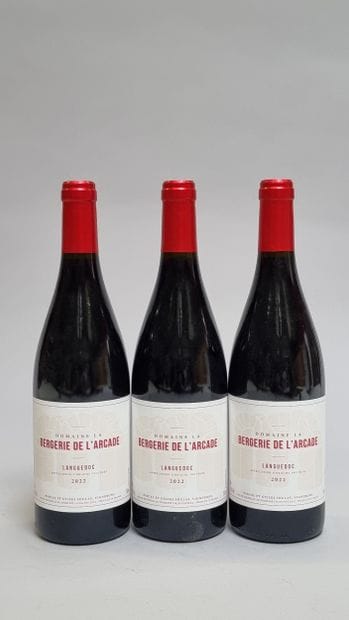 * 3 B LANGUEDOC Rouge 2022 Domaine de la...