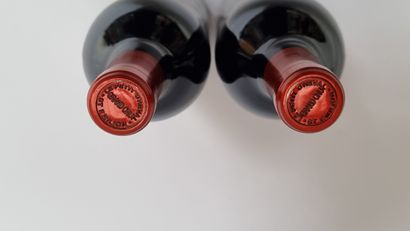 2 B LE PETIT CHEVAL 2011 Saint-Emilion Grand...