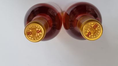 2 B CHATEAU D'YQUEM 2004 C1 Supérieur Sa...