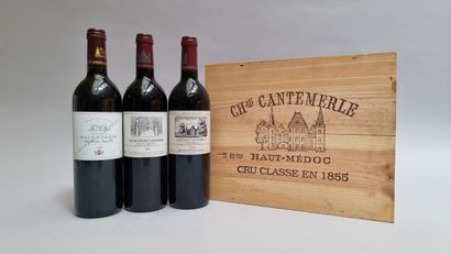 ASSORTIMENT de 3 Bouteilles (Caisse Bois...