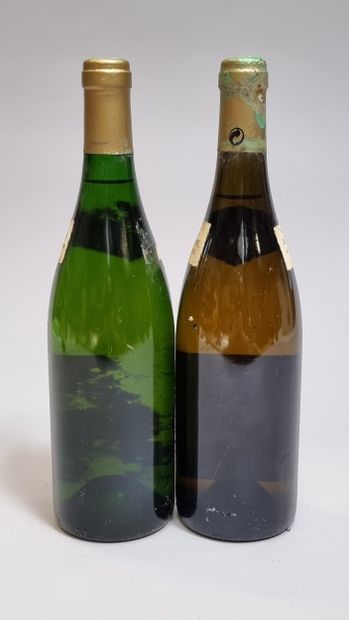 1 B HERMITAGE Blanc 1991 Domaine Jean-Louis...