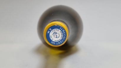 * 1 Mag I.G.P PAYS D'HERAULT Blanc 2018 Domaine...