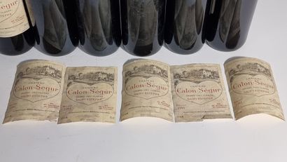 6 B CHATEAU CALON-SEGUR 1991 GCC3 Saint-Estèphe...