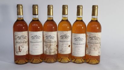 6 B CHATEAU SIGALAS-RABAUD 1996 C1 Sauternes...