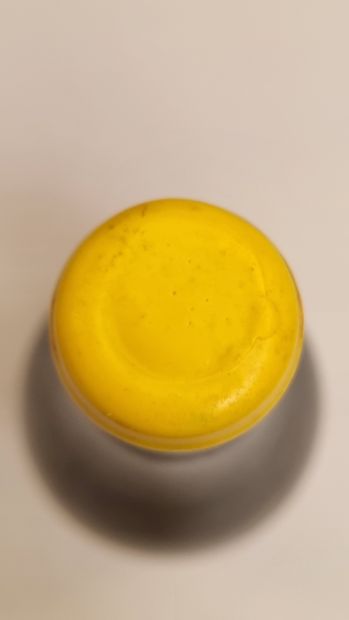 1 Mag COTES DU JURA CHARDONNAY 