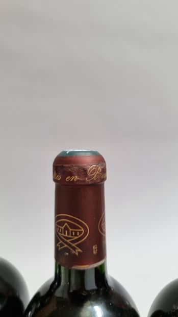 12 B CHATEAU SOCIANDO-MALLET (Caisse Bois...