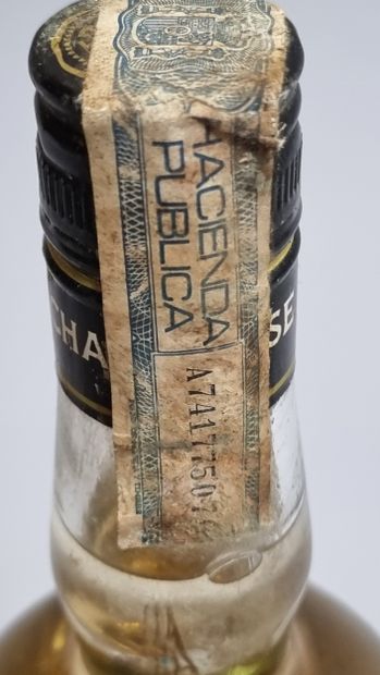 1 B CHARTREUSE JAUNE Period 1982-1989 Tarragona...