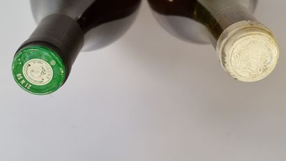 1 Mag BIENVENUES-BATARD-MONTRACHET (Grand...