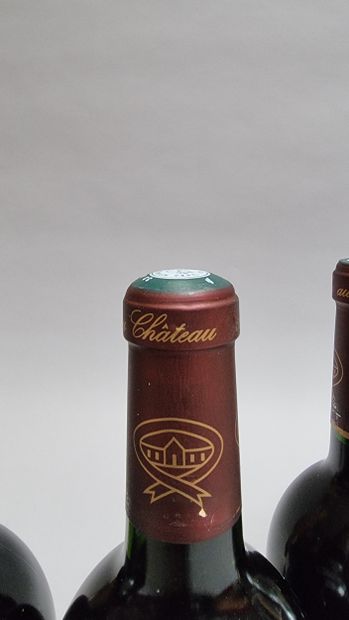12 B CHATEAU SOCIANDO-MALLET (Caisse Bois...