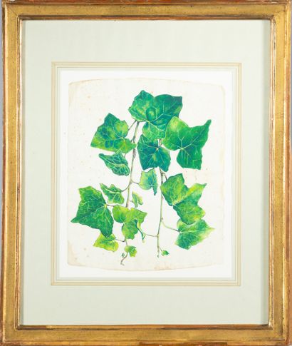 Paire de dessins, branches vertes,
29 x 23...