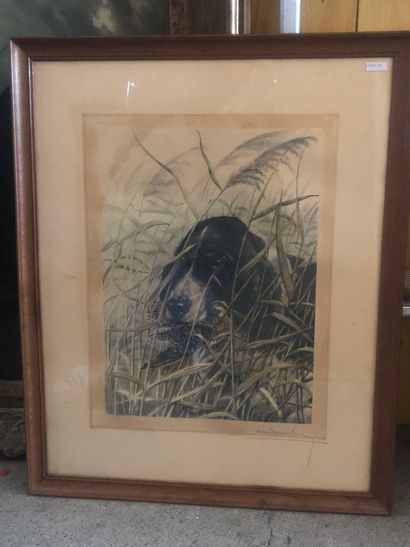 Léon DANCHIN, 
Hunting Dog,
engraving, 44...