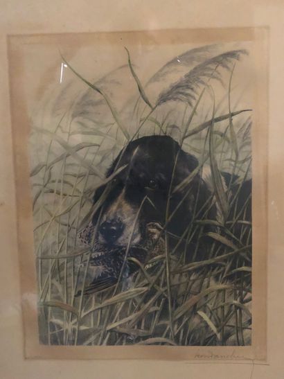 Léon DANCHIN, 
Hunting Dog,
engraving, 44...