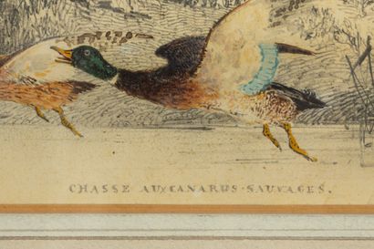 Newton FIELDING (?)
Two partridges,
Watercolor...