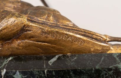 Alfred DUBUCAND (1828-1894)

Bécasse morte...