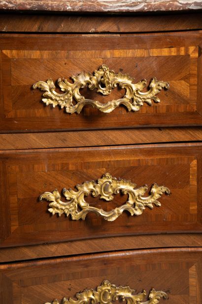 Chest of drawers with a curved front in amaranth...