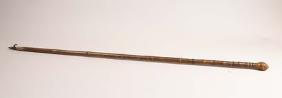 A large bamboo cane fitted with a hook and...