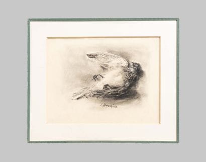 Louise HERVIEU (1878-1954)

Oiseau mort 

Dessin...