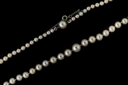 Yellow gold ring (750) set with a mabé pearl....