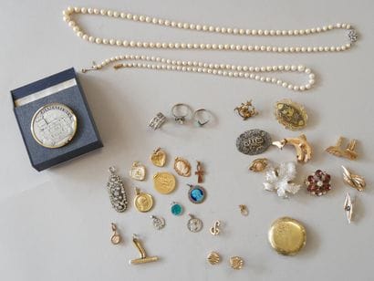 Costume jewelry set including:
1 dolphin...