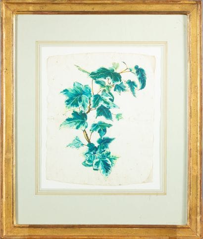 Pair of drawings, green branches,
29 x 23...