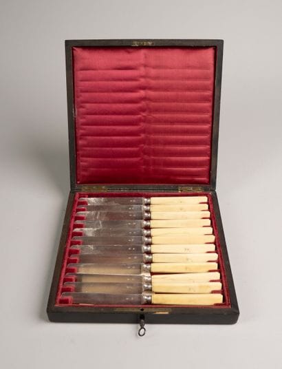Set of 12 fruit knives, with bone handles...