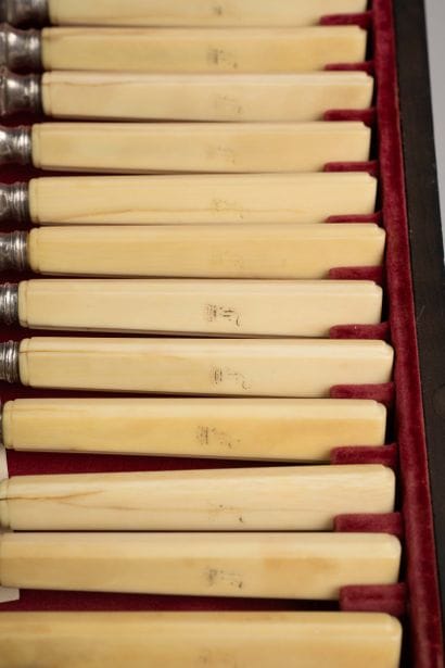 Set of 12 fruit knives, with bone handles...