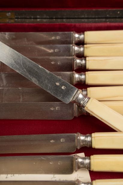 Set of 12 fruit knives, with bone handles...