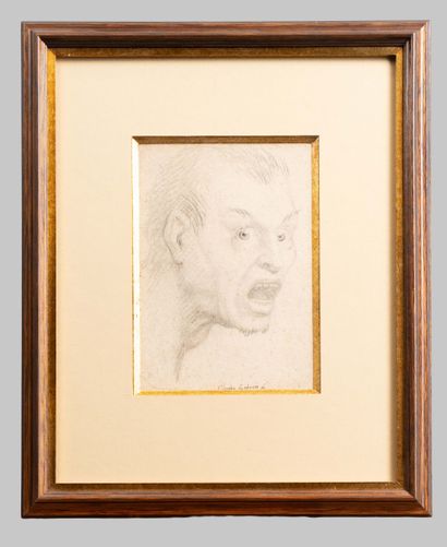 Charles LEBRUN, d'après 

Tête de faune 
Graphite...