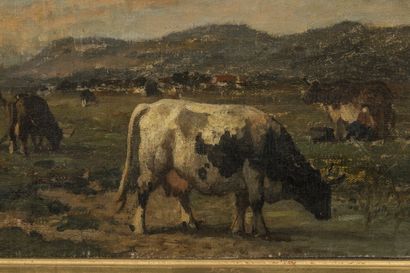 School from the 2nd half of the 19th century,
Herd...